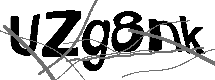 Loading CAPTCHA Image...